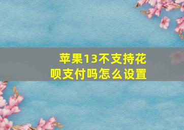 苹果13不支持花呗支付吗怎么设置