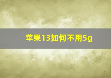 苹果13如何不用5g