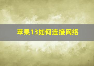 苹果13如何连接网络