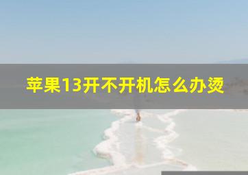 苹果13开不开机怎么办烫