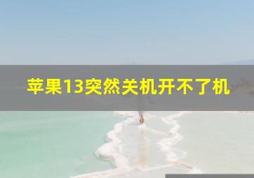 苹果13突然关机开不了机