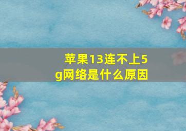 苹果13连不上5g网络是什么原因