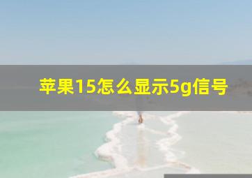 苹果15怎么显示5g信号