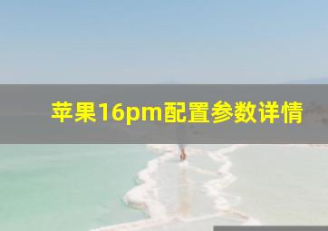 苹果16pm配置参数详情