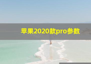 苹果2020款pro参数