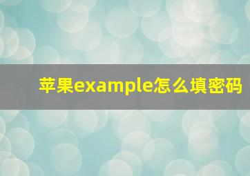 苹果example怎么填密码