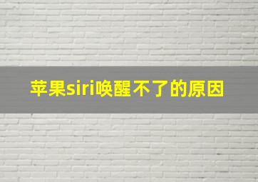 苹果siri唤醒不了的原因