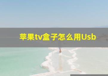 苹果tv盒子怎么用Usb