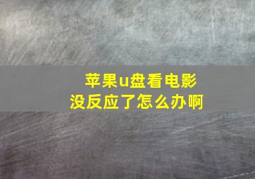 苹果u盘看电影没反应了怎么办啊