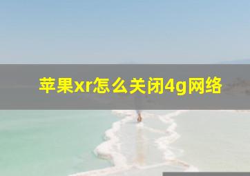 苹果xr怎么关闭4g网络