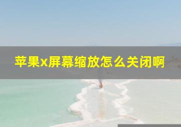 苹果x屏幕缩放怎么关闭啊