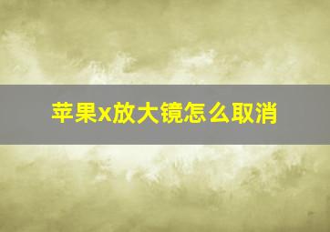 苹果x放大镜怎么取消