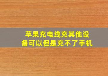 苹果充电线充其他设备可以但是充不了手机