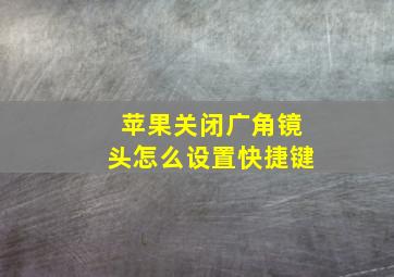 苹果关闭广角镜头怎么设置快捷键