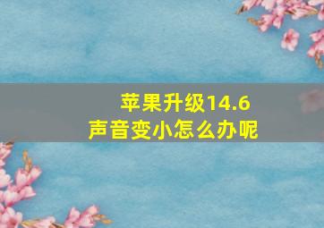 苹果升级14.6声音变小怎么办呢