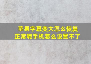 苹果字幕变大怎么恢复正常呢手机怎么设置不了