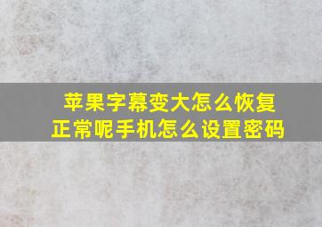 苹果字幕变大怎么恢复正常呢手机怎么设置密码