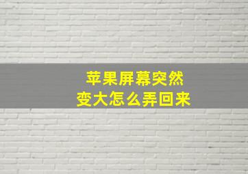 苹果屏幕突然变大怎么弄回来