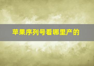 苹果序列号看哪里产的