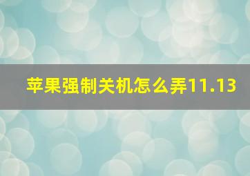 苹果强制关机怎么弄11.13