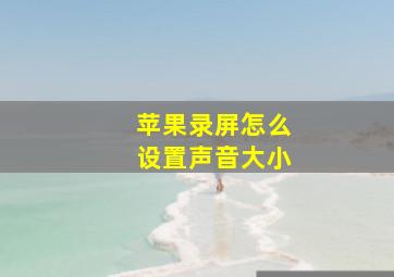 苹果录屏怎么设置声音大小