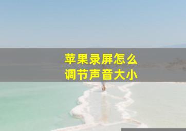 苹果录屏怎么调节声音大小