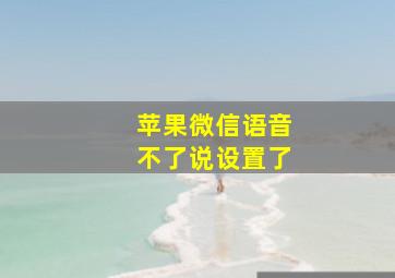 苹果微信语音不了说设置了