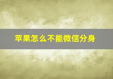 苹果怎么不能微信分身