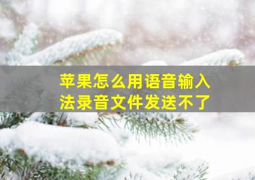 苹果怎么用语音输入法录音文件发送不了