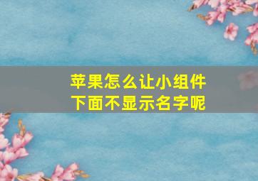 苹果怎么让小组件下面不显示名字呢