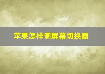 苹果怎样调屏幕切换器