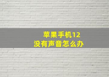 苹果手机12没有声音怎么办