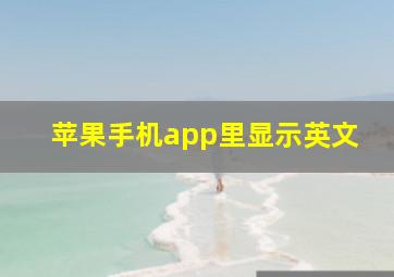 苹果手机app里显示英文