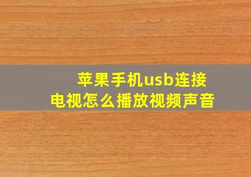 苹果手机usb连接电视怎么播放视频声音