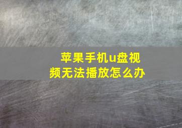 苹果手机u盘视频无法播放怎么办