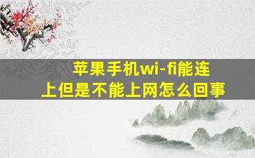 苹果手机wi-fi能连上但是不能上网怎么回事