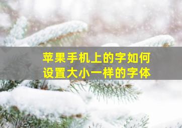 苹果手机上的字如何设置大小一样的字体