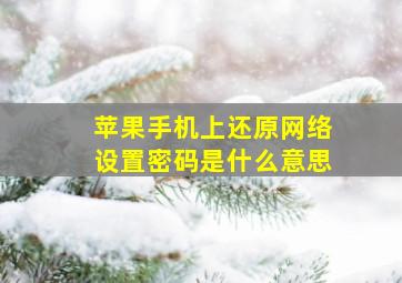 苹果手机上还原网络设置密码是什么意思