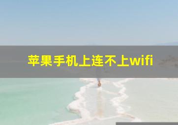 苹果手机上连不上wifi