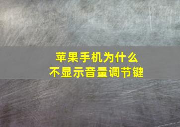 苹果手机为什么不显示音量调节键