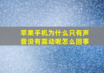 苹果手机为什么只有声音没有震动呢怎么回事