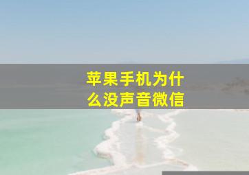 苹果手机为什么没声音微信