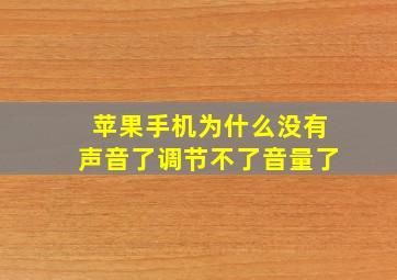 苹果手机为什么没有声音了调节不了音量了