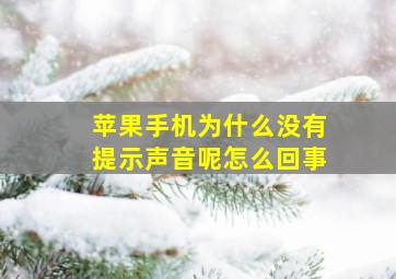 苹果手机为什么没有提示声音呢怎么回事