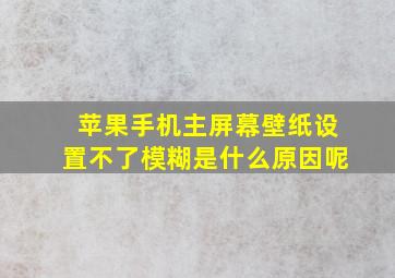 苹果手机主屏幕壁纸设置不了模糊是什么原因呢