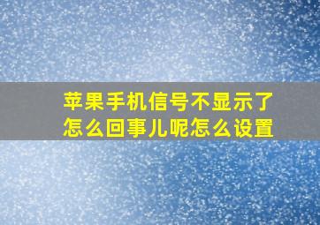 苹果手机信号不显示了怎么回事儿呢怎么设置