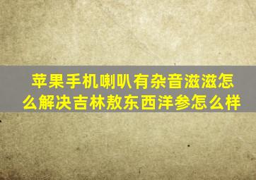 苹果手机喇叭有杂音滋滋怎么解决吉林敖东西洋参怎么样