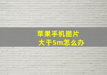 苹果手机图片大于5m怎么办