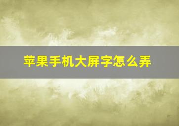 苹果手机大屏字怎么弄