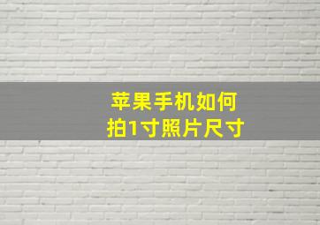 苹果手机如何拍1寸照片尺寸